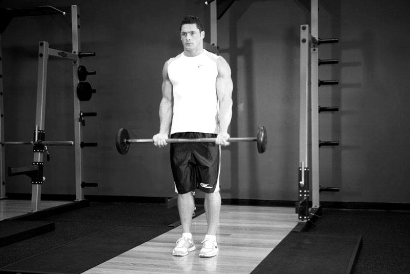 Barbell Curl — start position demonstration photo