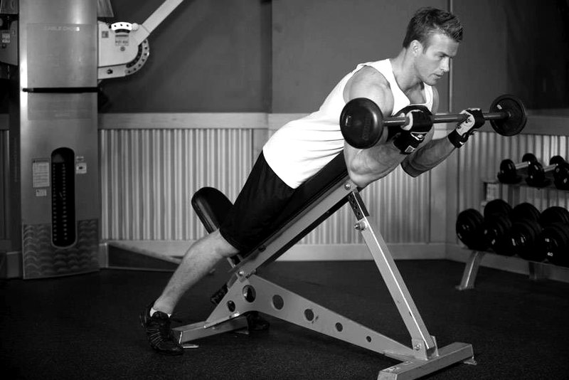 Barbell Curls Lying Against An Incline — end position demonstration photo