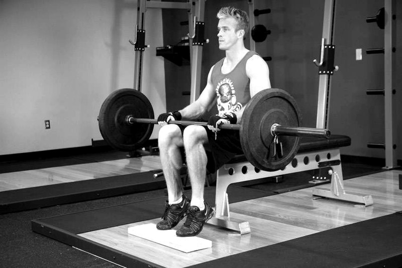 Barbell Seated Calf Raise — end position demonstration photo
