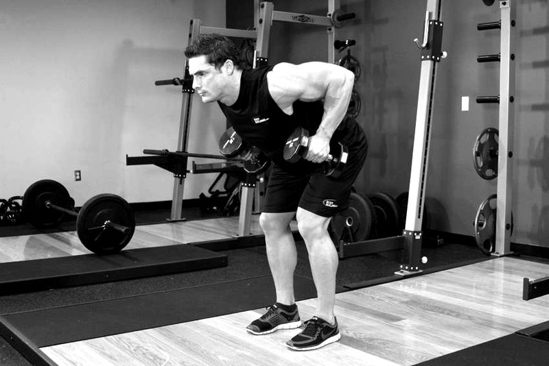 Bent Over Two-Dumbbell Row — end position demonstration photo