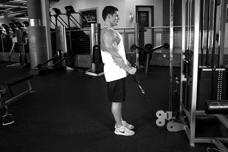 Cable Hammer Curls - Rope Attachment — start position demonstration photo