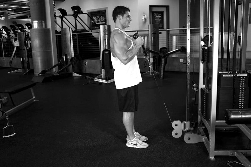 Cable Hammer Curls - Rope Attachment — end position demonstration photo