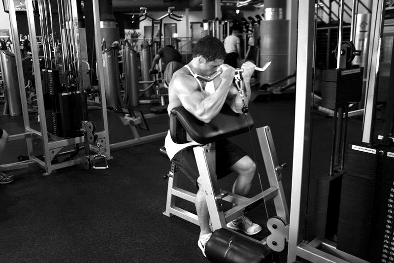 Cable Preacher Curl — end position demonstration photo