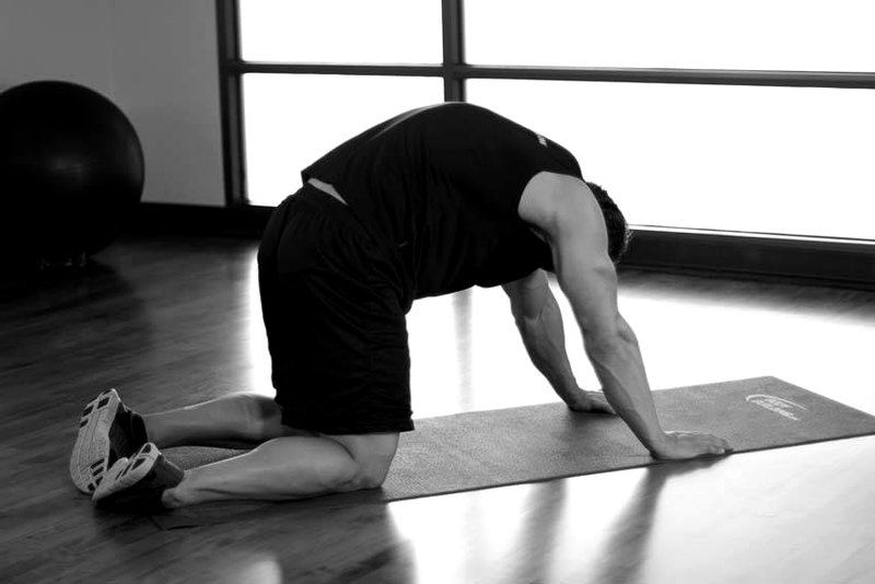 Cat Stretch — end position demonstration photo