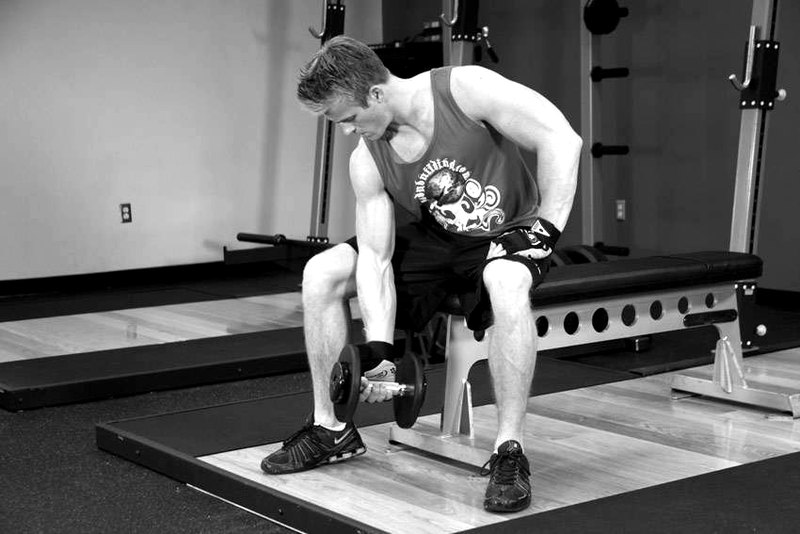 Concentration Curls — start position demonstration photo