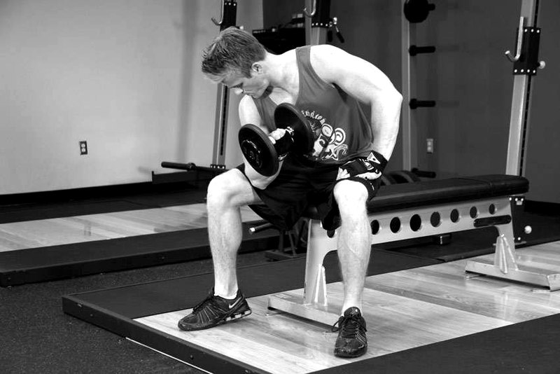 Concentration Curls — end position demonstration photo