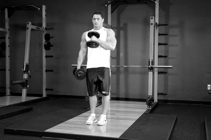 Cross Body Hammer Curl — end position demonstration photo