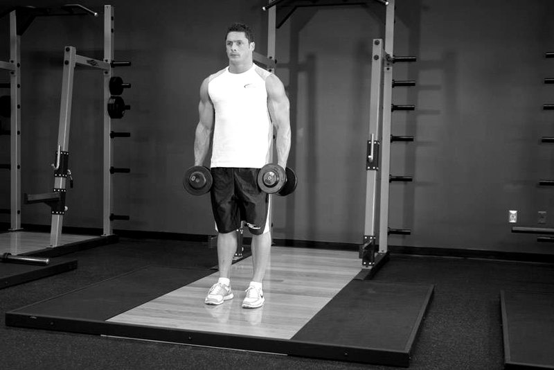 Dumbbell Bicep Curl — start position demonstration photo