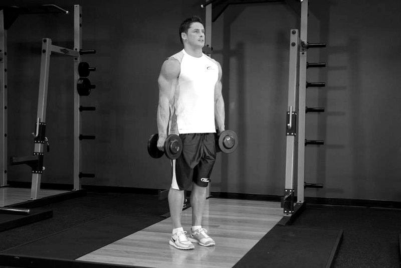 Dumbbell Hammer Curl — start position demonstration photo