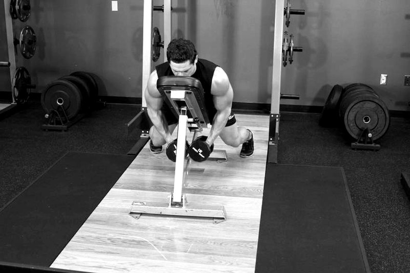 Dumbbell Lying Rear Lateral Raise — start position demonstration photo