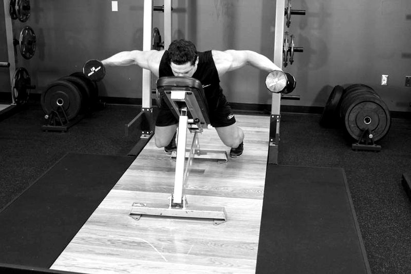 Dumbbell Lying Rear Lateral Raise — end position demonstration photo