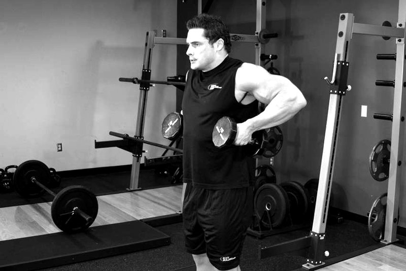 Dumbbell Raise — end position demonstration photo