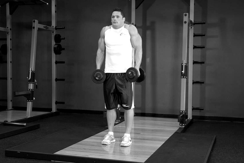 Dumbbell Shrug — end position demonstration photo