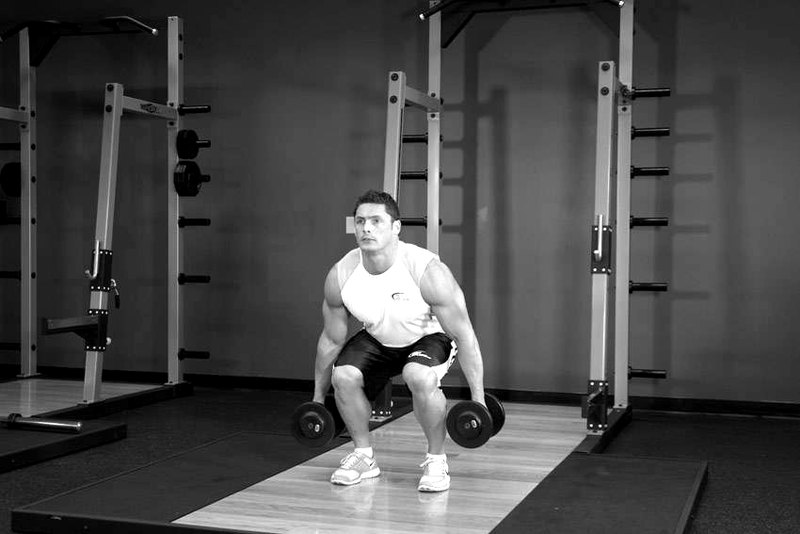 Dumbbell Squat — end position demonstration photo
