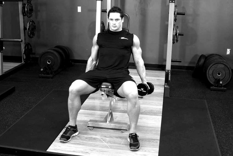 Flexor Incline Dumbbell Curls — start position demonstration photo