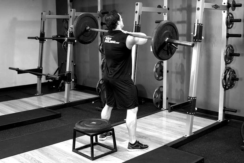 Front Barbell Squat To A Bench — start position demonstration photo