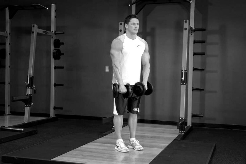 Front Dumbbell Raise — start position demonstration photo