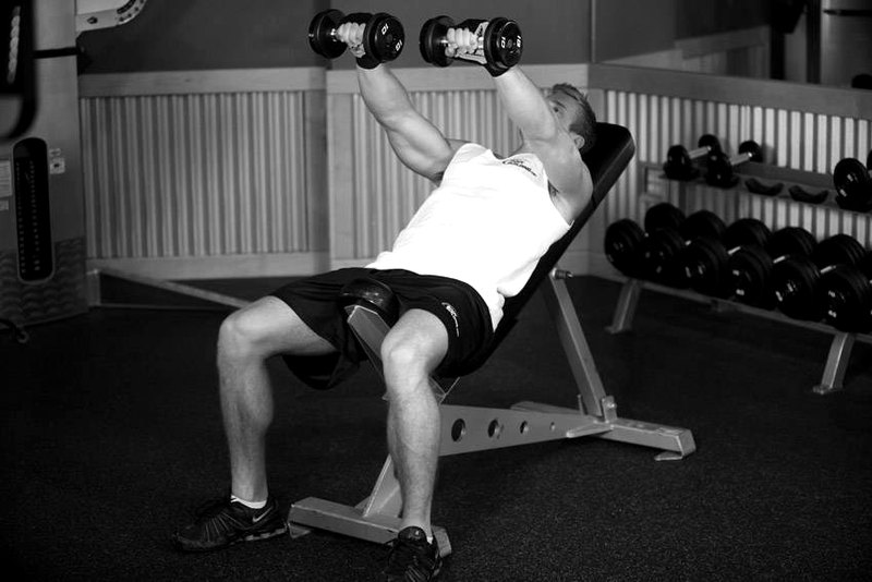 Front Incline Dumbbell Raise — end position demonstration photo
