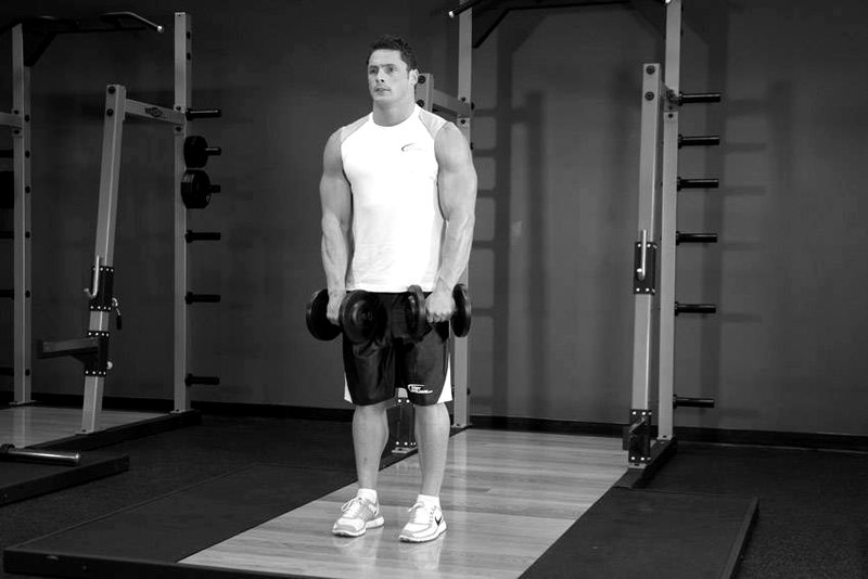 Front Two-Dumbbell Raise — start position demonstration photo