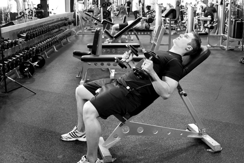 Incline Hammer Curls — end position demonstration photo