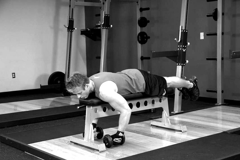 Lying Rear Delt Raise — end position demonstration photo