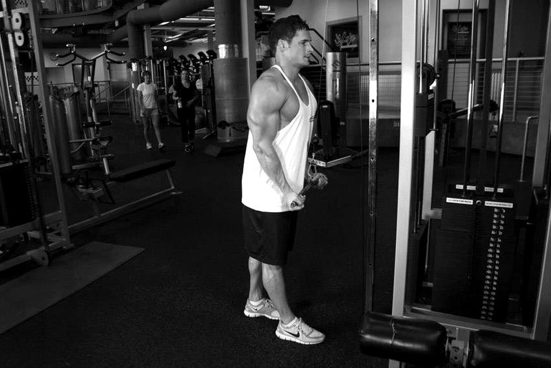 Reverse Grip Triceps Pushdown — end position demonstration photo