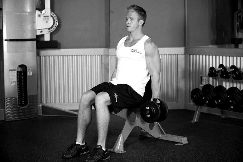 Seated Dumbbell Curl — start position demonstration photo