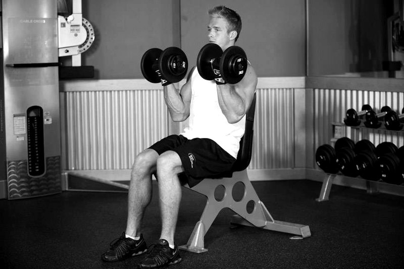 Seated Dumbbell Curl — end position demonstration photo