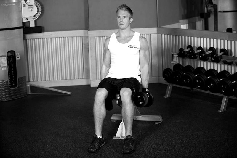 Seated Dumbbell Inner Biceps Curl — start position demonstration photo