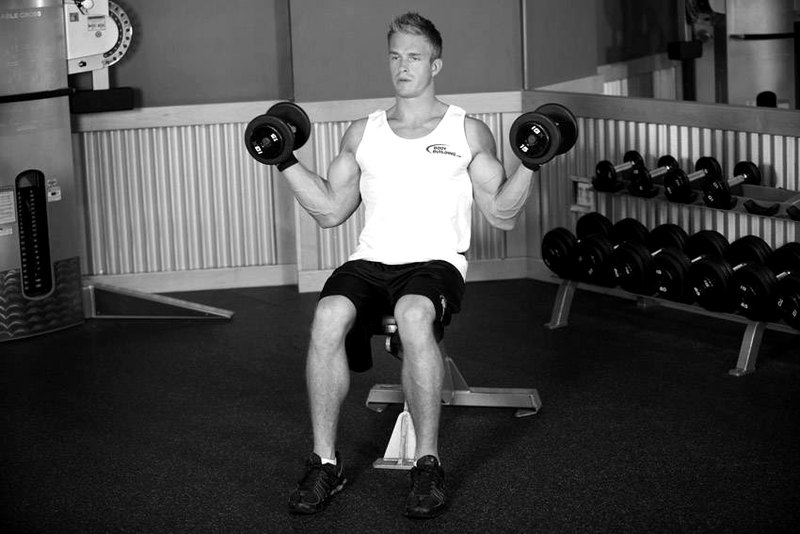 Seated Dumbbell Inner Biceps Curl — end position demonstration photo