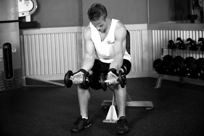 Seated Dumbbell Palms-Up Wrist Curl — start position demonstration photo