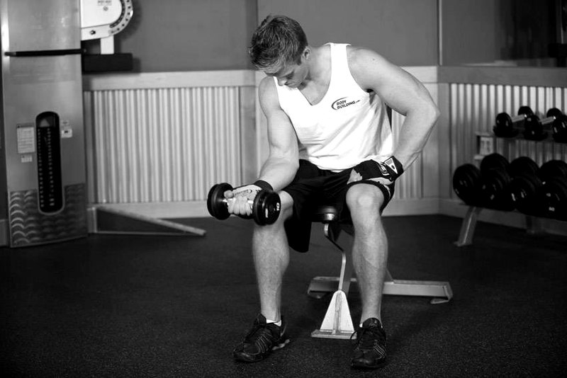 Seated One-Arm Dumbbell Palms-Up Wrist Curl — start position demonstration photo