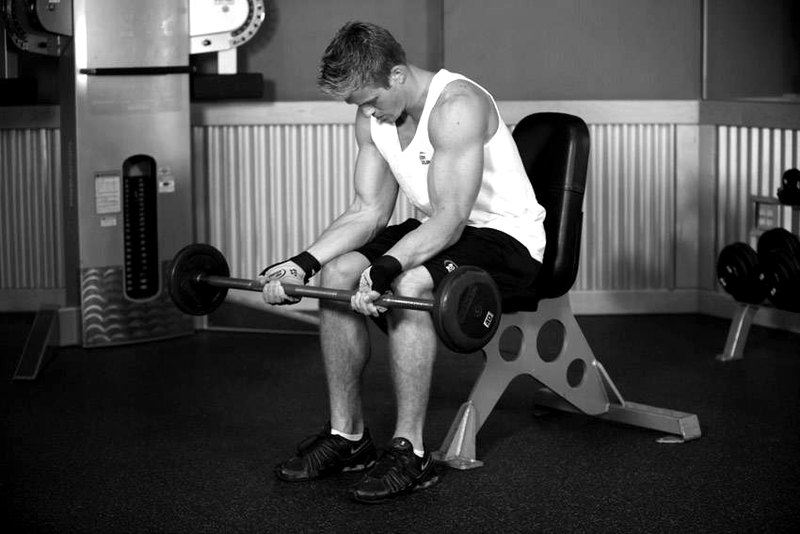 Seated Palm-Up Barbell Wrist Curl — start position demonstration photo