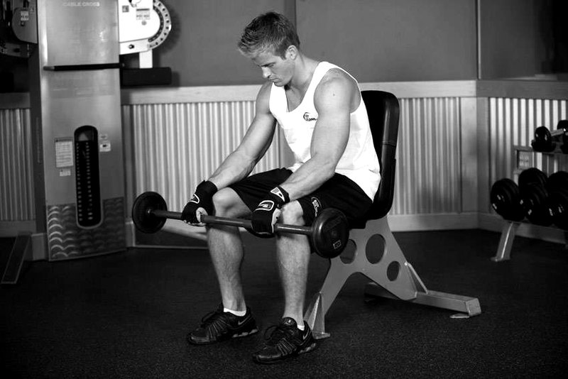 Seated Palms-Down Barbell Wrist Curl — start position demonstration photo