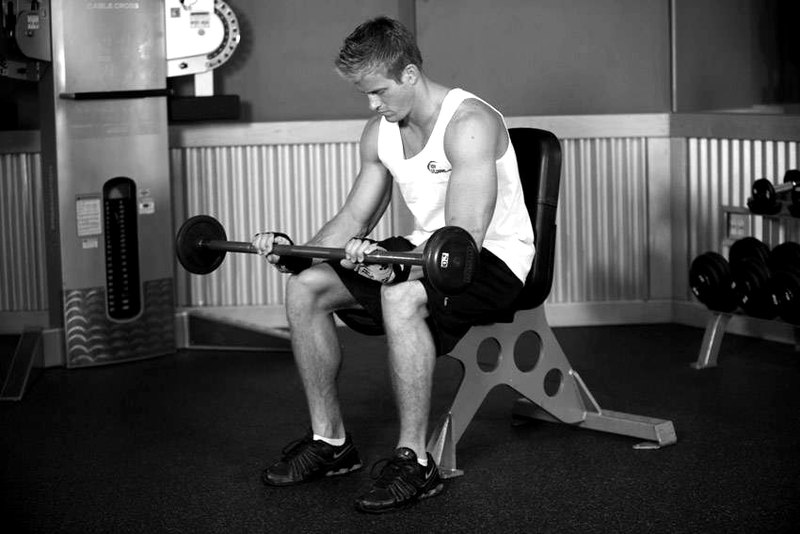 Seated Palms-Down Barbell Wrist Curl — end position demonstration photo