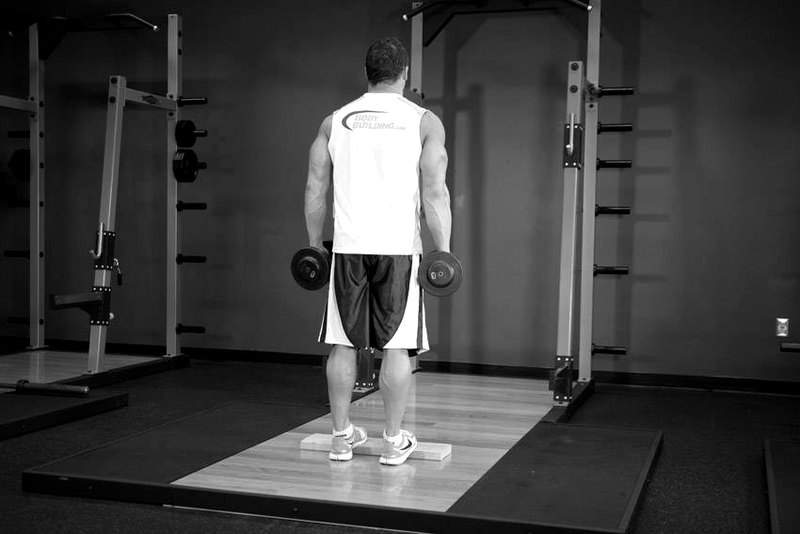 Standing Dumbbell Calf Raise — start position demonstration photo