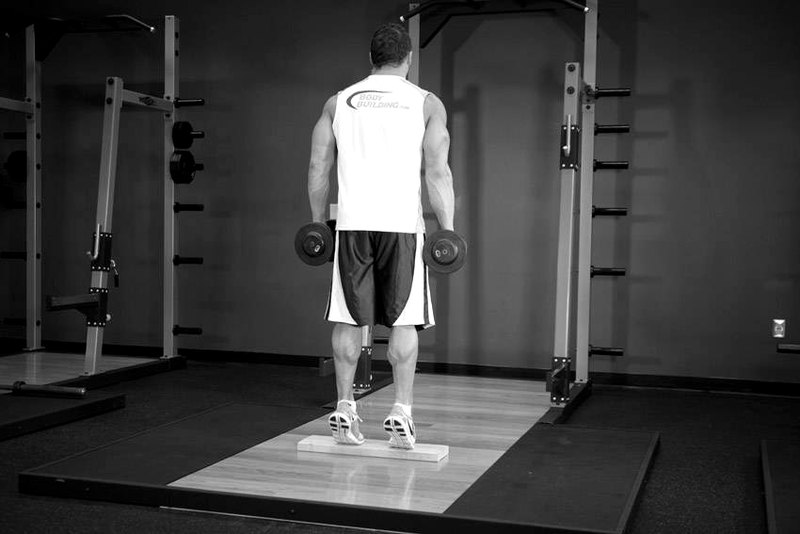 Standing Dumbbell Calf Raise — end position demonstration photo