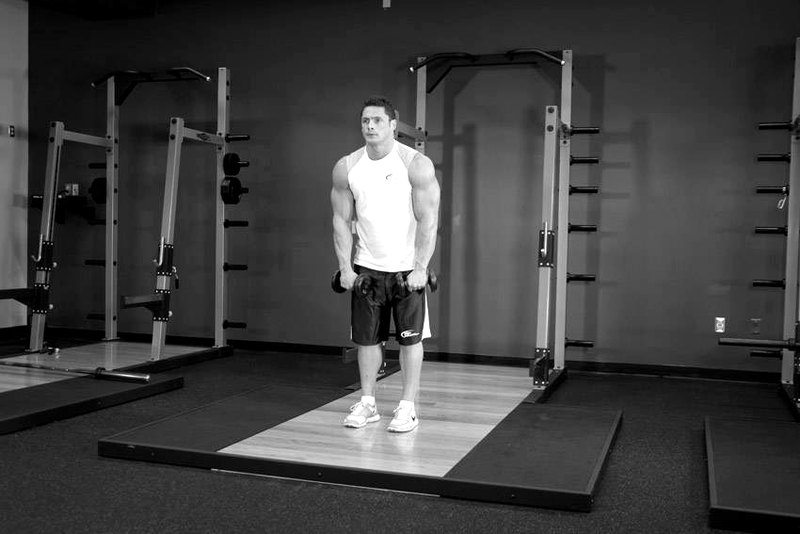 Standing Dumbbell Straight-Arm Front Delt Raise Above Head — start position demonstration photo