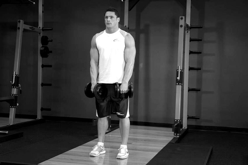 Standing Dumbbell Upright Row — end position demonstration photo
