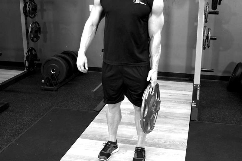Standing Olympic Plate Hand Squeeze — start position demonstration photo