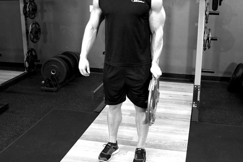Standing Olympic Plate Hand Squeeze — end position demonstration photo