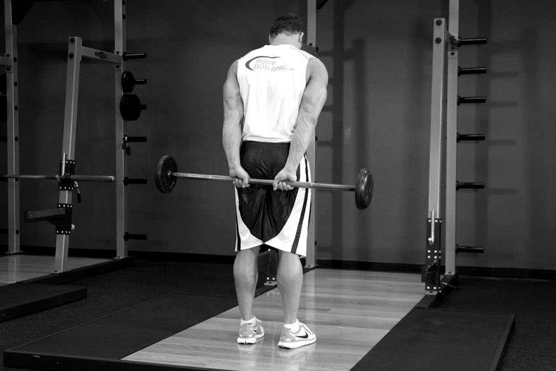 Standing Palms-Up Barbell Behind The Back Wrist Curl — end position demonstration photo