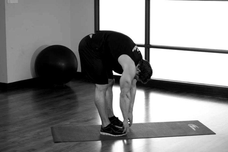Standing Toe Touches — end position demonstration photo