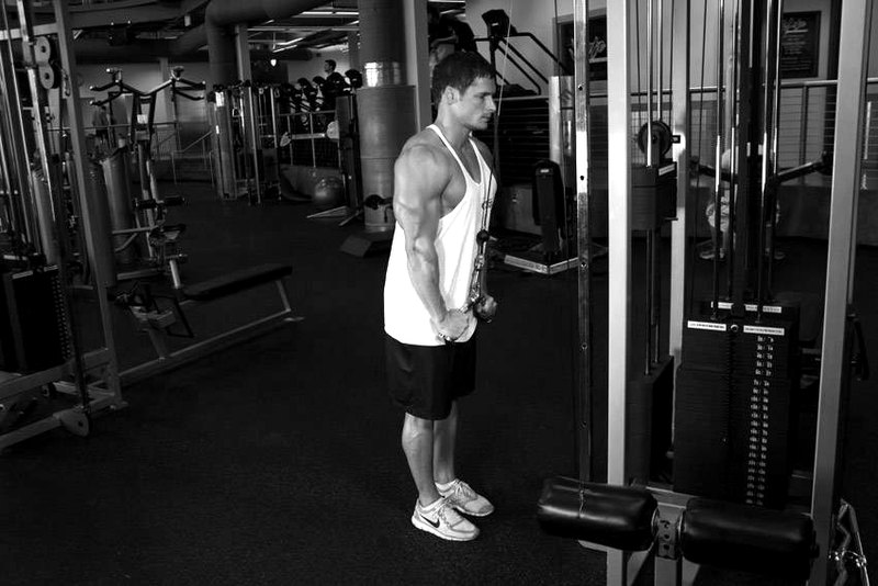 Triceps Pushdown - V-Bar Attachment — end position demonstration photo