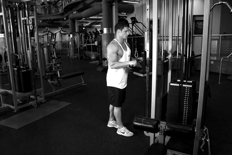 Triceps Pushdown — start position demonstration photo