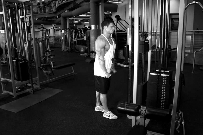 Triceps Pushdown — end position demonstration photo