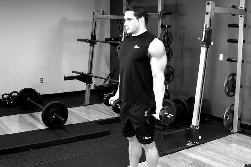 Zottman Curl — start position demonstration photo